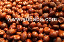 quality Hazelnuts