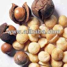 quality Macadamia nuts