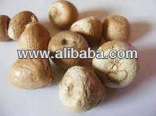 Fresh Vietnamese cashew nuts