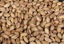  TURKISH   PISTACHIO 
