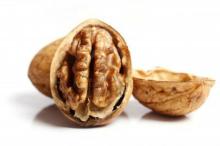 Ukrainian Organic Walnut