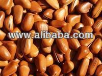 Pine Nuts and Pinenuts Kernels