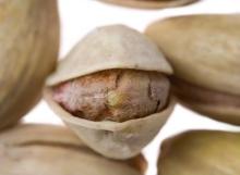 STANDARD PISTACHIO NUTS IN BULK (US EXPORTERS)