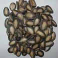 macadamia nut