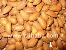 Pistachios Nuts, WalNuts, Hazel Nuts Almond Nuts