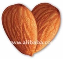  HIGH   QUALITY   almond   nuts 