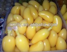 Mango Halal Cici Soft Fruit Jelly Drink