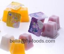 20g Coconut Cup Jelly Pudding With Multi Fruit Flavours
