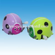 Little Cute Wind up  Beetle 