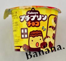 Caramel egg milk pudding