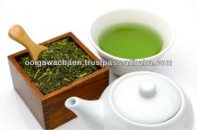 Specifically selected japanese green tea extract powder by tea masters