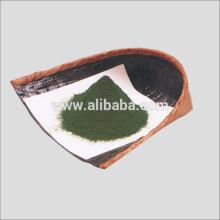 Japanese high quality green matcha tea for wholesale,price per kg