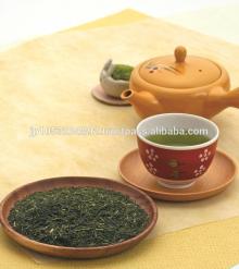 Japanese high quality delicious sencha   oishi  green tea 