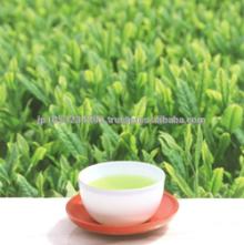 High quality and healthy japanese tea drinks and flavors