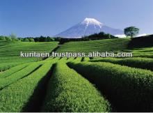 High quality powdered green leaf tea made in Japan