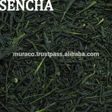Japanese Sencha green tea , Matcha green tea extract powder also available