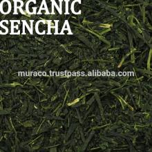 High quality organic Sencha green tea export made in Japan