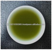 High grade green  tea  Shirofuji Sencha made in Japan  tea   pot 