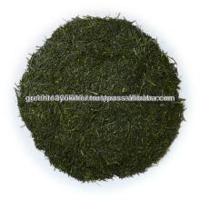 Delicious and Healthy Green  Tea  Shirofuji Sencha for japanese  import  goods