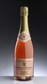 Champagne Rose