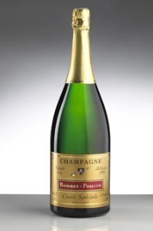 Champagne  Blanc de Blancs  Magnum (Double- Bottle  : 1,5 L)