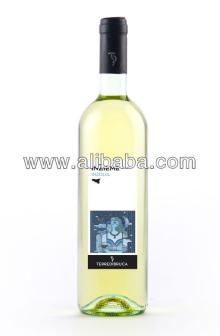 Inzieme Inzolia IGP Sicilia - High Class Bottled Italian Wine