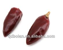 Chinese No 1  bullet   chilli 