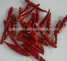 Chinese No 1 Red hot Chaotian chili yidu chili dry red chili