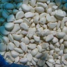 china garlic clove