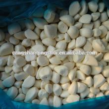 chinese IQF garlic