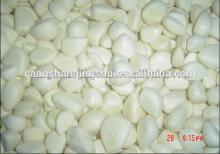 china frozen garlic