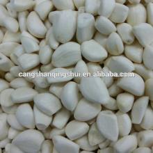 china frozen garlic price