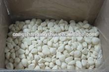china iqf frozen garlic price