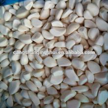 china iqf garlic cloves price