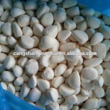 china frozen white garlic price