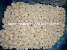 china frozen garlic cloves price