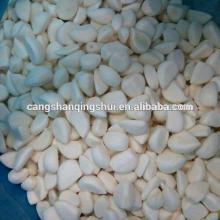 new crop china IQF garlic price