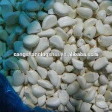 new crop china frozen garlic price