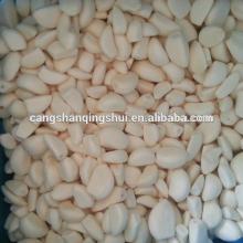 chinese frozen white garlic price