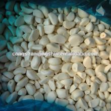 2013 new crop china IQF garlic price