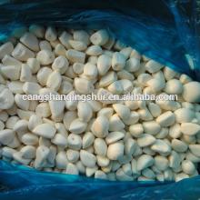 new crop chinese iqf frozen garlic price