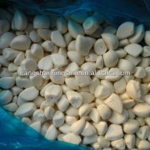 2013 new crop china frozen IQF peeled garlic clove