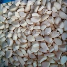 .new crop chinese frozen IQF peeled garlic clove