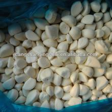 quality agriculture wholesale china natural garlic offer