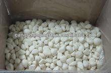 frozen white  garlic  frozen  garlic   price 