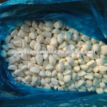 frozen iqf peeled garlic price for sale