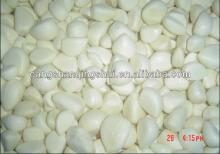 frozen white garlic frozen garlic china iqf frozen garlic cloves