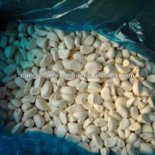 frozen garlic peeled quality agriculture wholesale china natural garlic