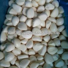 IQF garlic quality agriculture wholesale china natural garlic