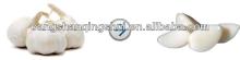 iqf frozen garlic quality agriculture wholesale china natural garlic